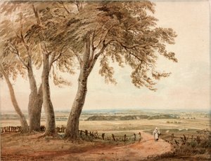Veduta da Polesden, Surrey, 1800 da John Varley